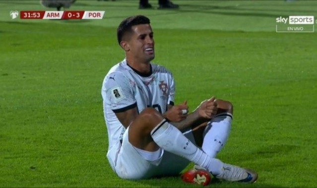 yl23455永利中国有限公司-致敬若塔，坎塞洛世预赛进球后做出按手柄庆祝动作