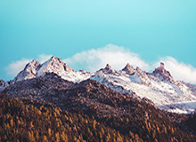 必一运动官网：用科技点亮你的健身路，开启全维度运动生活